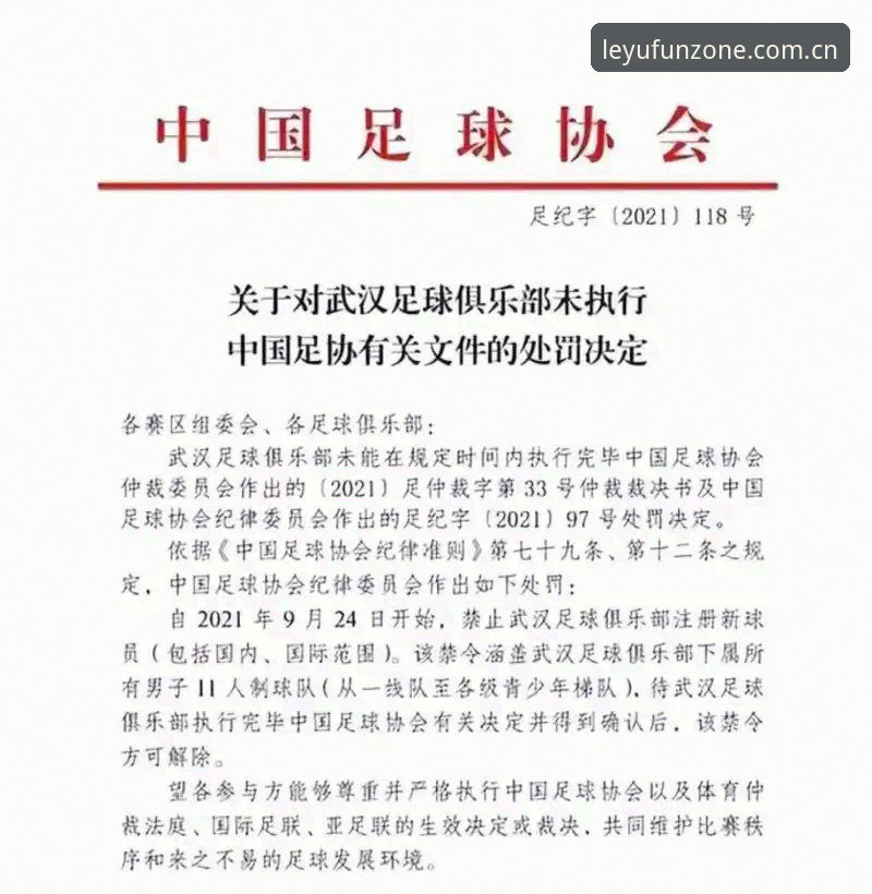 中国足协第三批禁足名单全面解析：65人受罚背后的行业乱象深度调查
